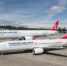 Вокруг света с Turkish Airlines - 26-News.Ru