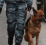 Бомбу с часовым механизмом уничтожили в Махачкале - ГТРК Ставрополье