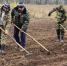 В Северной Осетии зашумит новый лес - ГТРК Ставрополье