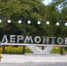 В Лермонтове проводится доследственная проверка по факту безвестного исчезновения женщины - СУ СК РФ