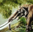 mammut borsoni - СГМЗ