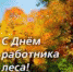 С профессиональным праздником – С ДНЕМ РАБОТНИКОВ ЛЕСА!!! - Рослесозащита ЦЗЛ Ставропольского края