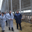 На Ставрополье появится новая племенная организация с уникальной породой КРС - Министерство сельского хозяйства