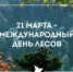 21 марта – Международный день леса - Рослесозащита ЦЗЛ Ставропольского края