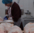 Ставрополье впервые экспортировало мясо птицы в Анголу - Ставропольская правда