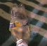 Хозяин наркопритона в Невинномысске брал плату с клиентов выпивкой - ИА Победа 26