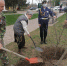 В акции «Сад памяти» в Георгиевском округе приняла участие 97-летняя фронтовичка - Телеканал СвоёТВ