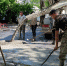 Новый сквер напротив перинатального центра появится 1 июля - Газета Ставропольский репортёр