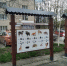 В Ставрополе экотактильная тропа расширяет возможности для слабовидящих - ATVmedia.Ru
