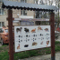 Экотактильная тропа в Ставрополе расширяет возможности для слабовидящих - Газета Ставропольский репортёр