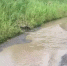 Власти Невинномысска следят за уровнем дождевой воды - Телеканал СвоёТВ