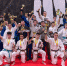 Семь золотых медалей завоевали ставропольцы на чемпионате страны по кудо - ИА Победа 26