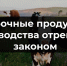 Побочные продукты животноводства отрегулируют законом - Газета Ставропольский репортёр