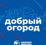 «Единая Россия» запускает акцию по сбору и доставке семян и саженцев на Донбасс - Единая Россия