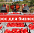 Какой вид господдержки наиболее востребован сегодня бизнесовм? - ТПП