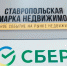 Как прошла первая ярмарка недвижимости в Ставрополе — фоторепортаж - ИА Победа 26