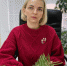 ТПП СК дает разъяснения: об изменениях уплаты налогов, формирования и сдачи отчетности, сроки уплаты. Спрашивали? Отвечаем! - Сетевое издание Сделано в Ставропольском крае