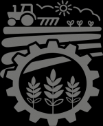 Программа Победы