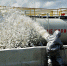 Комплексное учение на опасном производственном объекте - МЧС Ставропольского края