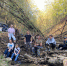 Мамайский лес в Ставрополе может "ожить": как активисты создают ленд-арт-парк? - ATVmedia.Ru