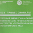 Ставропольская студентка представила край на чемпионате «Профессионалы» - Газета Ставропольский репортёр