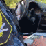 На дорогах Ставрополя арестовали 4 автомобиля за долги - Телеканал СвоёТВ