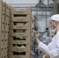 Объём ставропольской продукции увеличился на 15% по сравнению с 2023 годом - ИА Победа 26