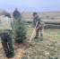 На горе Стрижамент в Ставропольском крае высадили новые деревья - Телеканал СвоёТВ