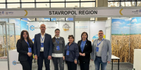 Ставропольскую продукцию представили производители на международной выставке - Телеканал СвоёТВ