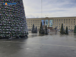 Елочные базары открылись в Ставрополе: полный список адресов