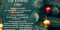 В Ставрополе 16 ёлочных базаров ждут покупателей главных зимних зелёных красавиц - Вечерний Ставрополь