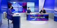 Губернатор Ставрополья: Число инцидентов с бродячими собаками снизилось вдвое - ИА Победа 26
