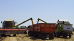 Глава Ставрополья: к 2030 году нарастим производство сельхозпродукции на 25%