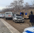 Лошадь стала причиной гибели в 33 года водителя из соседнего региона в Предгорье - Вечерний Ставрополь