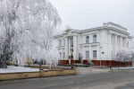 Самым возрастным молодожёном Ставрополья в 2024 году стал 94-летний мужчина