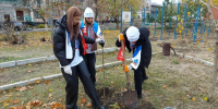 Более 350 деревьев со Ставрополья высадили в Антраците - ИА Победа 26