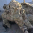 На Ставрополье предотвратили подрыв электрички «Кисловодск – Минводы» - ATVmedia.Ru