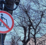 В центре Владикавказа туристам запретили ездить на электросамокатах - Комсомольская Правда