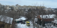 Бездомные собаки насмерть загрызли 9-летнюю девочку в Ставрополе - Bloknot-Stavropol.Ru