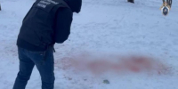 Хозяйку растерзавших 9-летнюю девочку собак задержали в Ставрополе - Bloknot-Stavropol.Ru