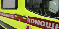 Стая бродячих собак загрызла девятилетнюю девочку в Ставрополе - ИА Победа 26