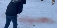 В Ставрополе собаки загрызли 9-летнюю девочку: возбуждено уголовное дело - Юг России