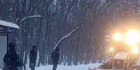 Об УК и ТСЖ, не расчистивших дворы от снега, сообщат в прокуратуру - Вечерний Ставрополь