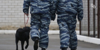 Спецслужбы обследовали соцобъекты в Невинномысске после угроз минирования - ИА Победа 26