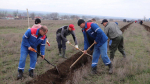 В Новоселицком округе прошла акция «Сад памяти»