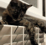 Когда закончится отопительный сезон на Ставрополье? - ATVmedia.Ru
