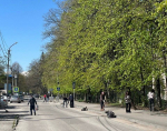 В Карачаево-Черкесской и Кабардино-Балкарской Республиках проведены субботники, посвященные 80-летию победы в Великой Отечественной Войне