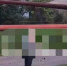 Уголовное дело могут завести на жителя Ставрополья за стрельбу в щенка - ИА Победа 26