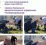 Сотрудники Северо-Кавказского управления Росприроднадзора продолжили участвовать в международной акции «Сад памяти» в «Праздник весны и труда» - Память жива - Росприроднадзор