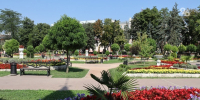 В трёх городах Ставрополья проводят бесплатные экскурсии к 80-летию Победы - ИА Победа 26